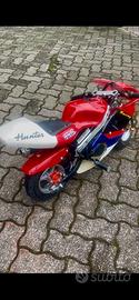Minimoto benzina 50 cc