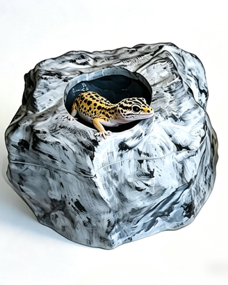 Tana umida, calda, set geco leopardino rettili