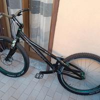 bici trial Echo Adamant A1