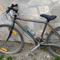 Bici da sistemare