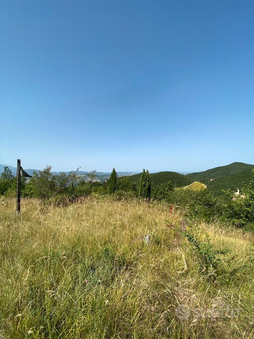 Urbino Zona Tufo 40 ettari di terra - Vista 4
