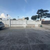 UFFICIO A POLLENA TROCCHIA