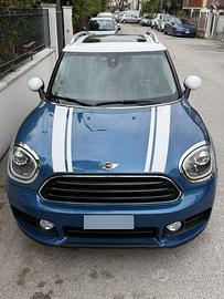 Endo Mini countryman D