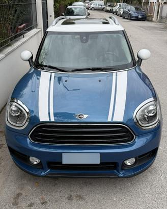 Endo Mini countryman D