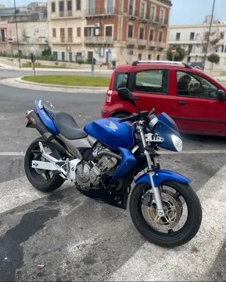 Honda hornet