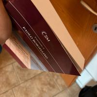 L'Antimafia di Paolo Borsellino  ed. CSM