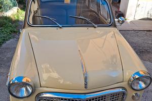FIAT 1100  103 H