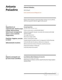 Apprendista tuttofare