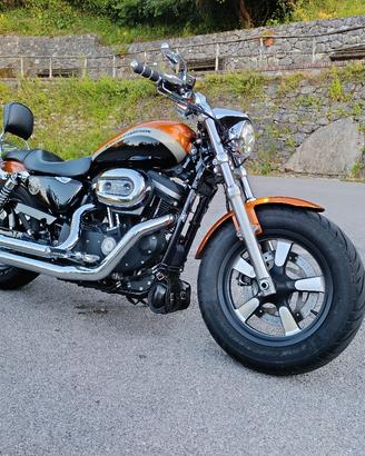 Harley Davidson Sportster 1200 custom CA 
