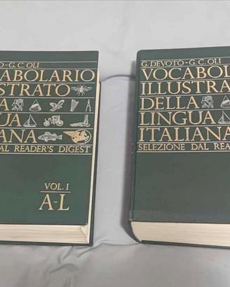 Vocabolario illustrato 2 volumi anni 70'