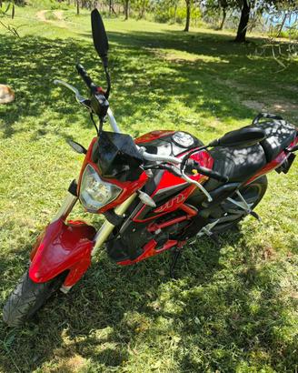 Benelli 251