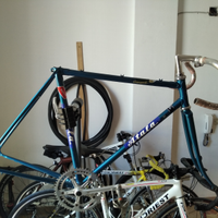 Atala vintage