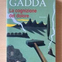 La cognizione del dolore, Carlo Emilio Gadda
