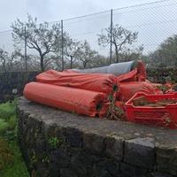 prato sintetico