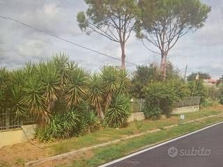 House in Lanuvio, Roma Capitale - Vista 2
