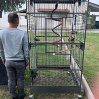 Voleira gabbia per ara