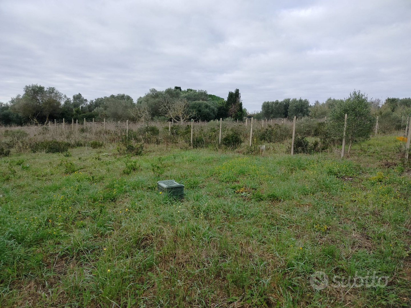 Terreno con casa - Vista 4