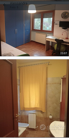 Camere / appartamento