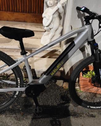 Bicicletta stilus