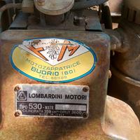 Motozappa diesel Lombardini 530