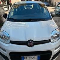 Panda young 1200 benzina