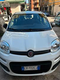 Panda young 1200 benzina