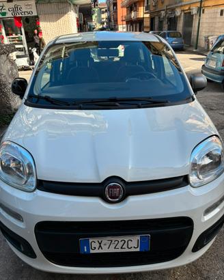 Panda young 1200 benzina