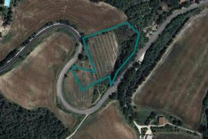 Immobile in asta di 10430 m² a San Venanzo