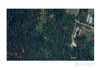 Ampio terreno ideale per realizzare agriturismo