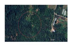 Ampio terreno ideale per realizzare agriturismo