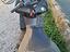 Immagine 2