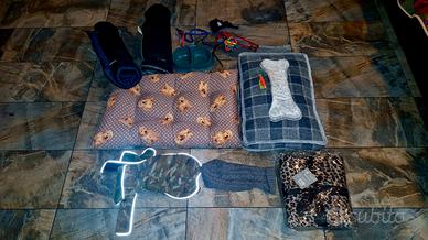 ACCESSORI vari per cane piccola taglia  30euro