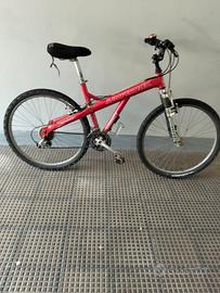 bicicletta da salto passeggio e uscita