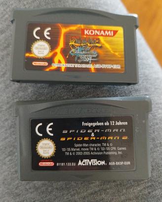 Nintendo ds videogiochi