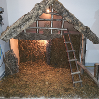 Presepio