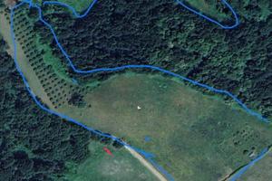 Terreno 65000 mq con 120 piante di olivo 70.000