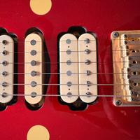 ibanez pgm 500