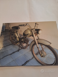 Motorino Atala 50