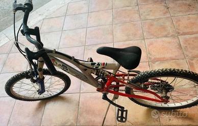 Bicicletta ruota 20 pollici