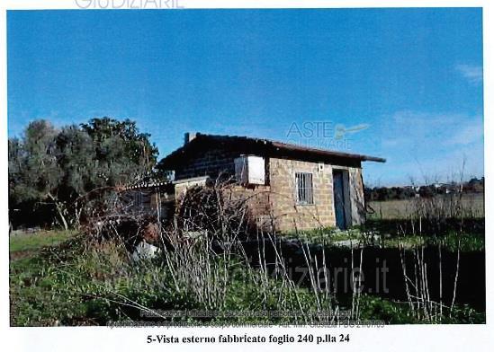 Terreno Agricolo Viterbo [A4316824]