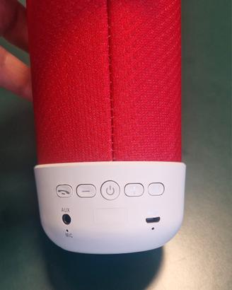 altoparlante wireless