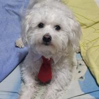 Max vorrebbe trovare una fidanzatina