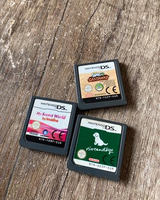 Set di giochi nintendo ds