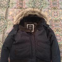 Bomber Jacket Donna Hollister Taglia XL 