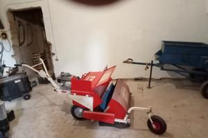 Scopatrice raccoglitrice