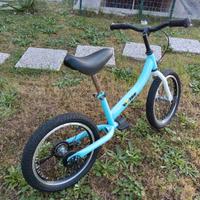 Bicicletta bimbi 