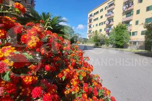 Appartamento Napoli [Cod. rif 3237234VRG]