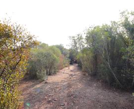 Terreno agricolo vicino alla spiaggia