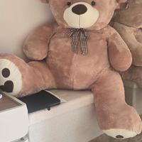 Orso  teddy