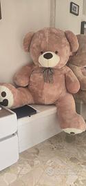 Orso  teddy
